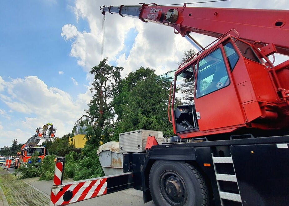 Baum wird mit Hilfe eines Feuerwehrkrans abgetragen. 