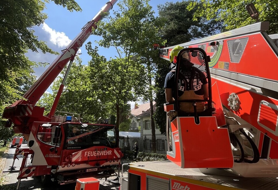 Mittels Drehleiter wird der Baum am Kran gesichert.