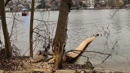 Einsatz im Uferbereich der Müggelspree