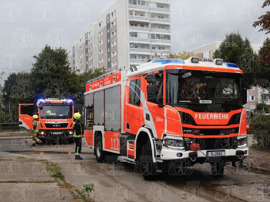 Rüstwagen und LHF